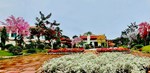 DI TÍCH LỊCH SỬ CHÙA KIẾN LINH (CHÙA PHỤC LỄ), HUYỆN THỦY NGUYÊN